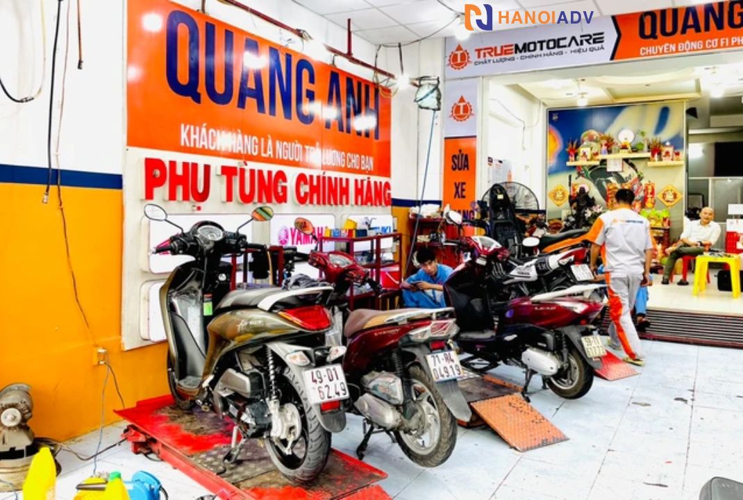 1 trong những lại biển phổ biến được dùng nhiều nhất